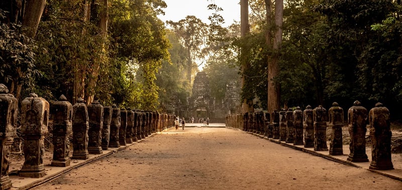 Jungle Ruins
